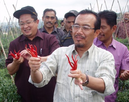 Rp1 Triliun, Perkiraan Anggaran Hortikultura di 2013